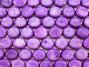 Purple 14mm Sponge Coral Coin